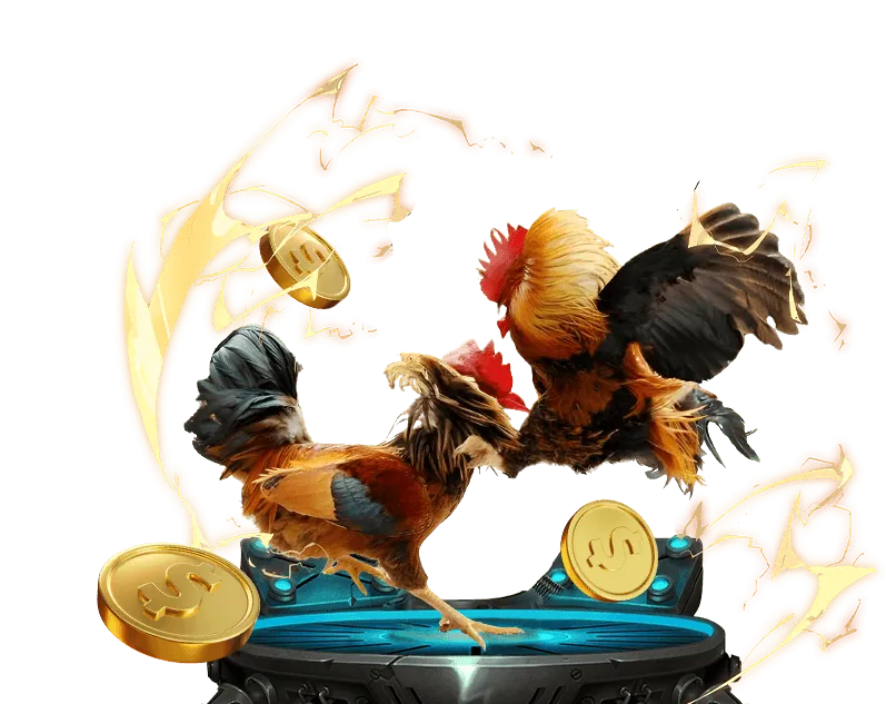 Các chương trình khuyến mãi độc quyền cho thành viên VZ88